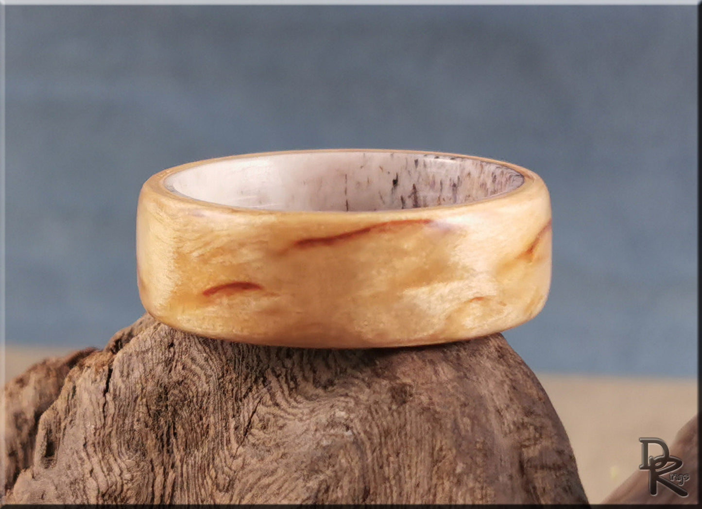 Bentwood Ring - Karelian Birch on deer antler ring core - wood ring