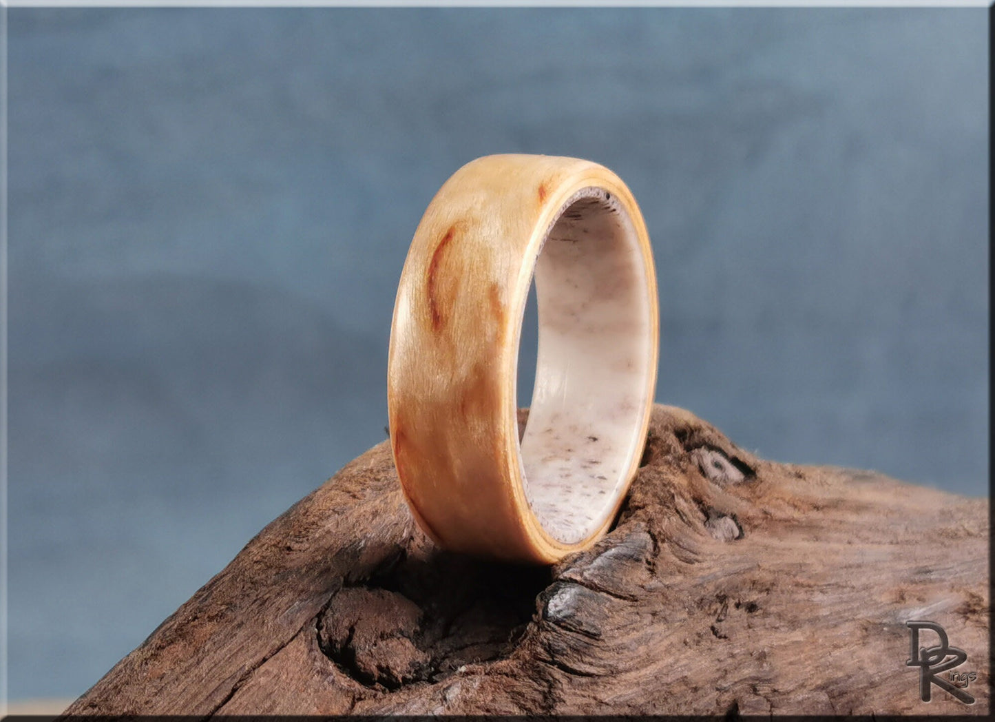 Bentwood Ring - Karelian Birch on deer antler ring core - wood ring