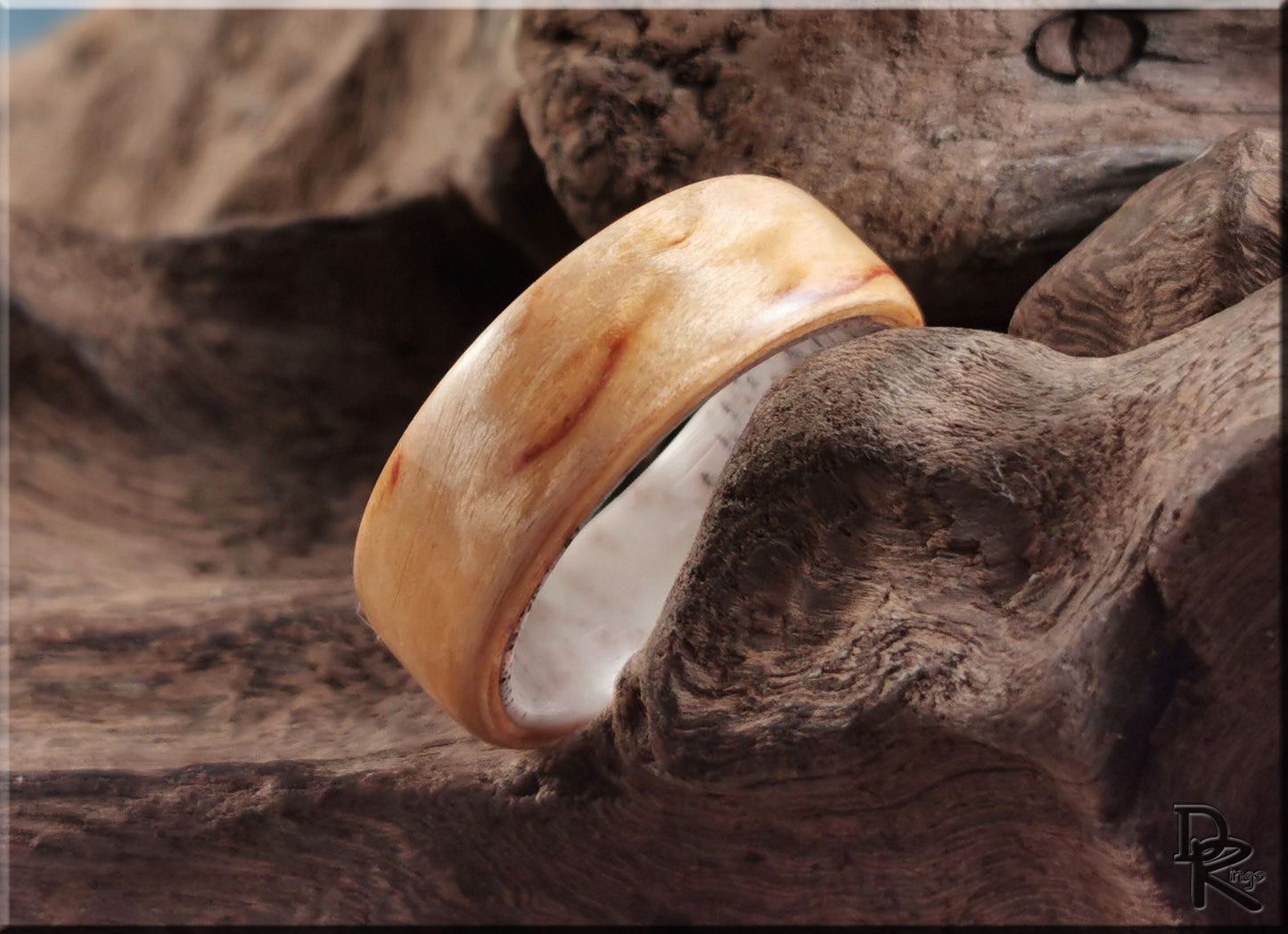 Bentwood Ring - Karelian Birch on deer antler ring core - wood ring