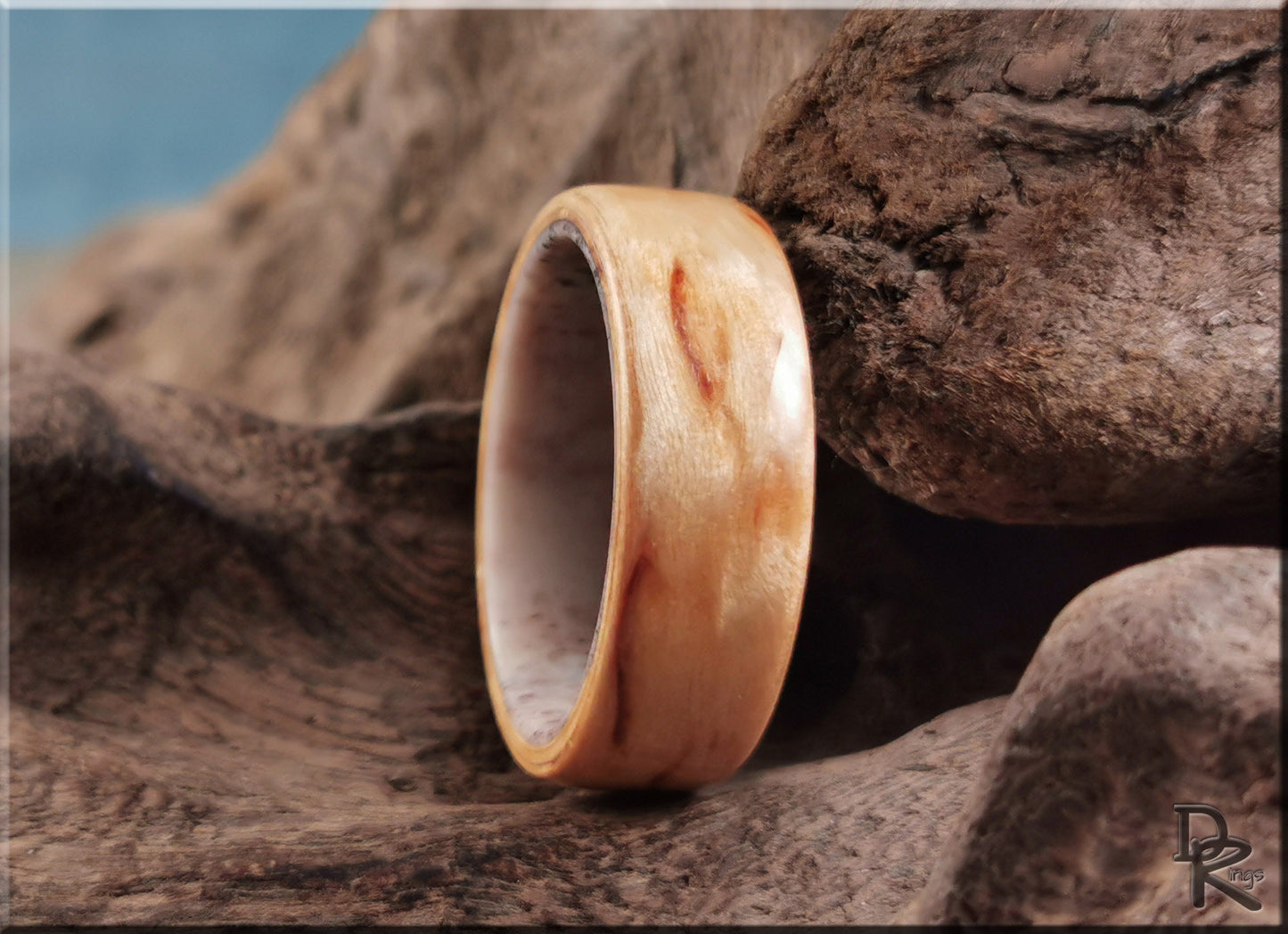 Bentwood Ring - Karelian Birch on deer antler ring core - wood ring