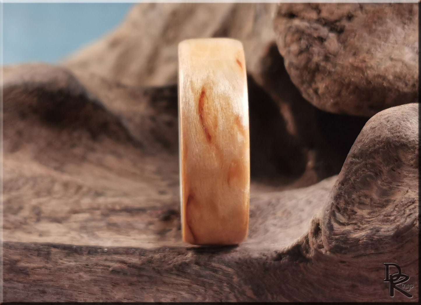 Bentwood Ring - Karelian Birch on deer antler ring core - wood ring