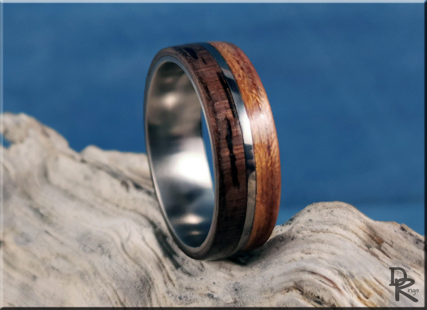 Dual Bentwood Ring - Curly Black Walnut and Figured Etimoe, on 7mm titanium T-Core - wood ring
