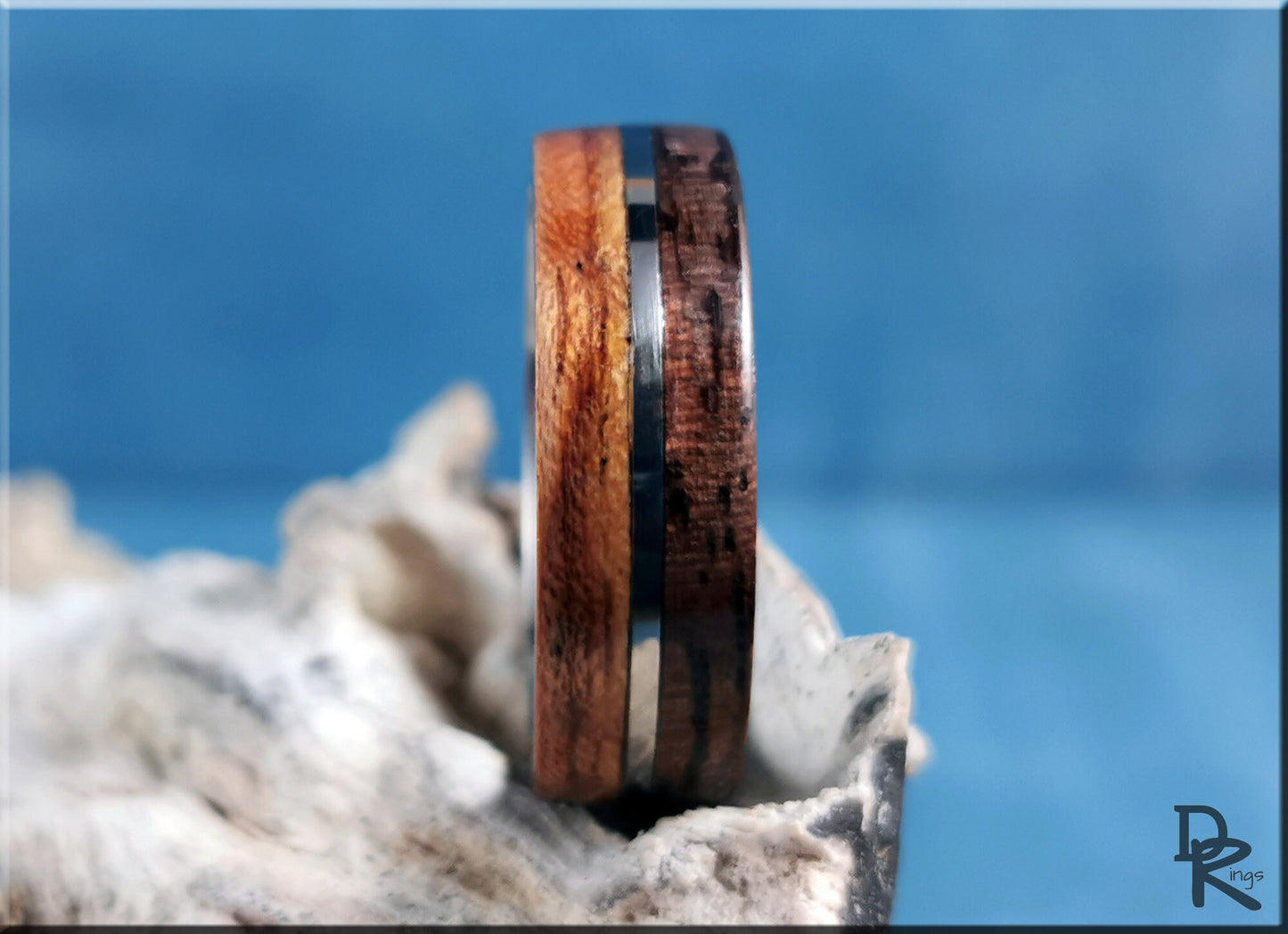 Dual Bentwood Ring - Curly Black Walnut and Figured Etimoe, on 7mm titanium T-Core - wood ring