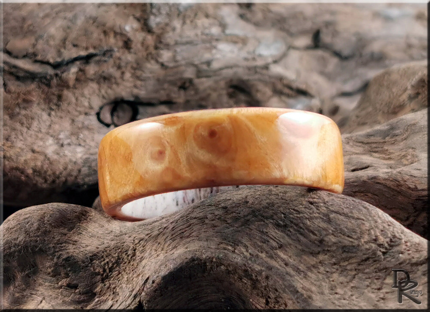 Bentwood Ring - Douglas Fir Burl on deer antler ring core - wood ring