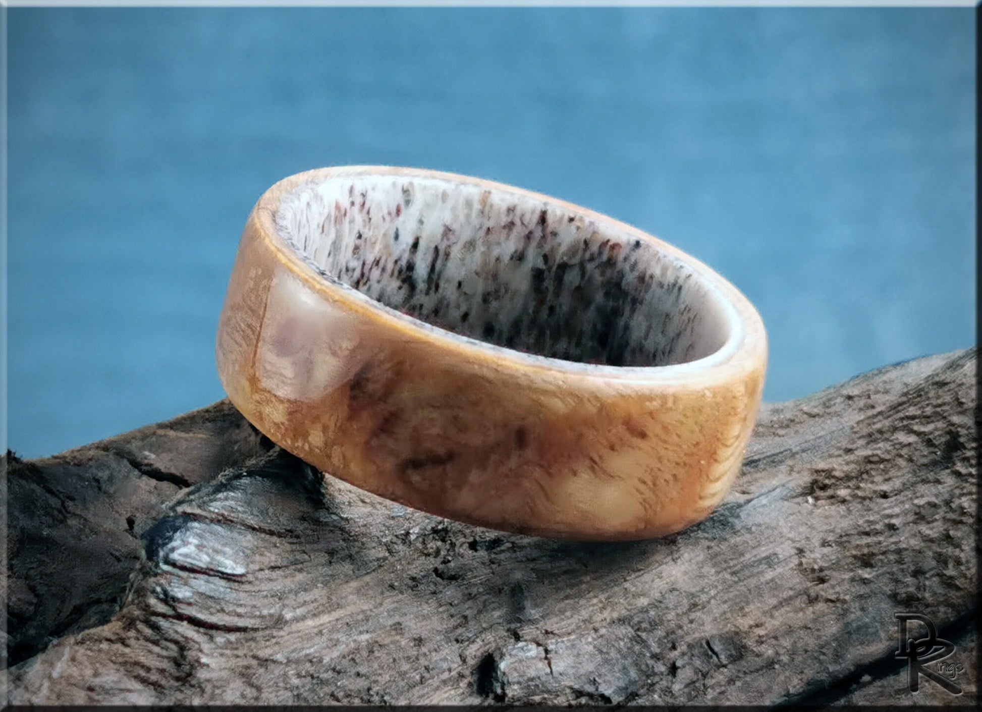 Bentwood Ring - English Chestnut Burl on deer antler ring core - wood ring
