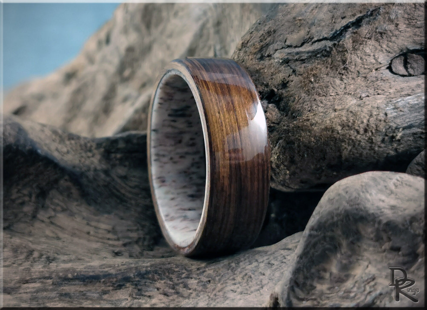 Bentwood Ring - Ancient Bog Oak on deer antler ring core - wood ring