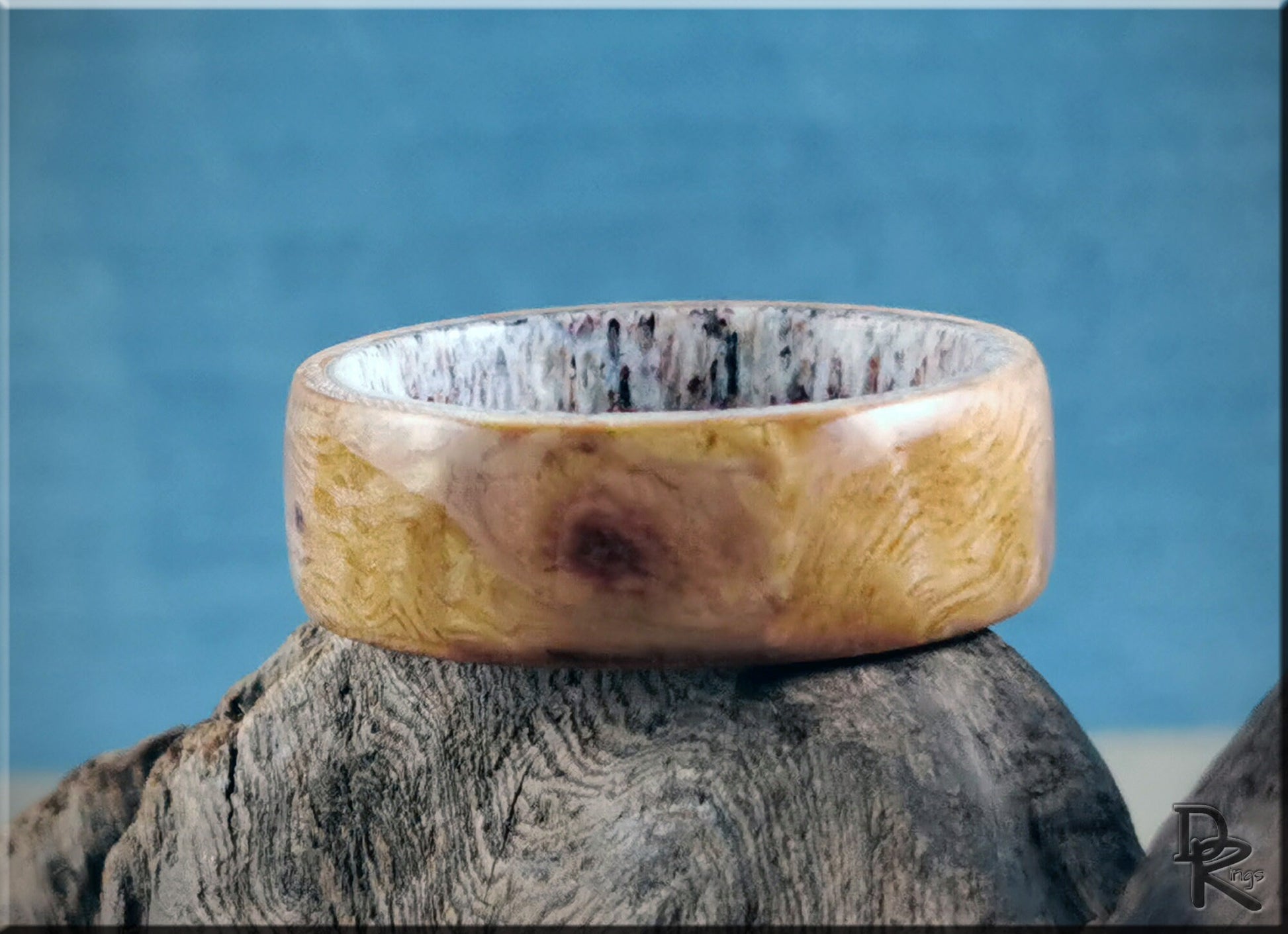 Bentwood Ring - English Chestnut Burl on deer antler ring core - wood ring