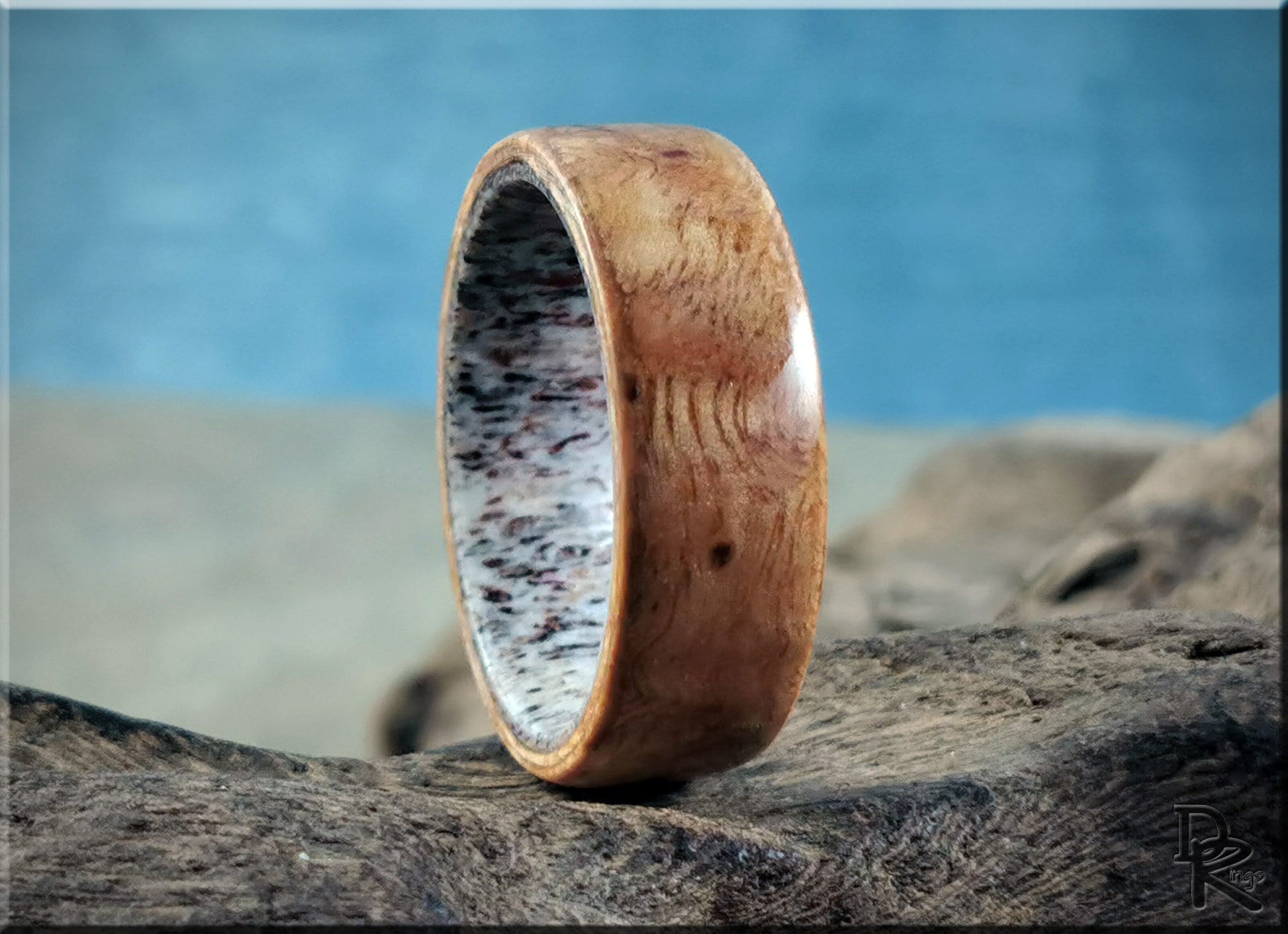 Bentwood Ring - English Chestnut Burl on deer antler ring core - wood ring
