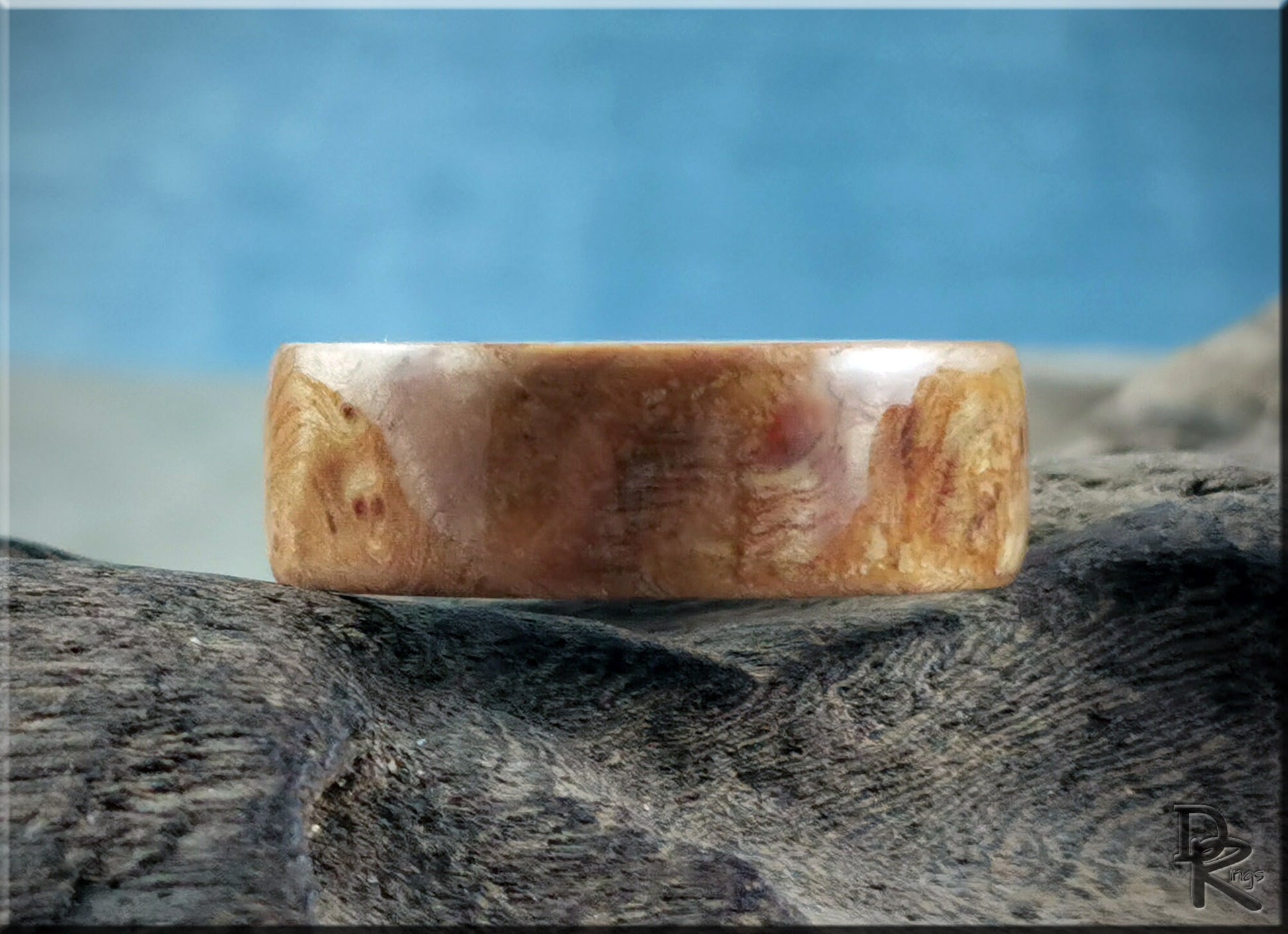Bentwood Ring - English Chestnut Burl on deer antler ring core - wood ring