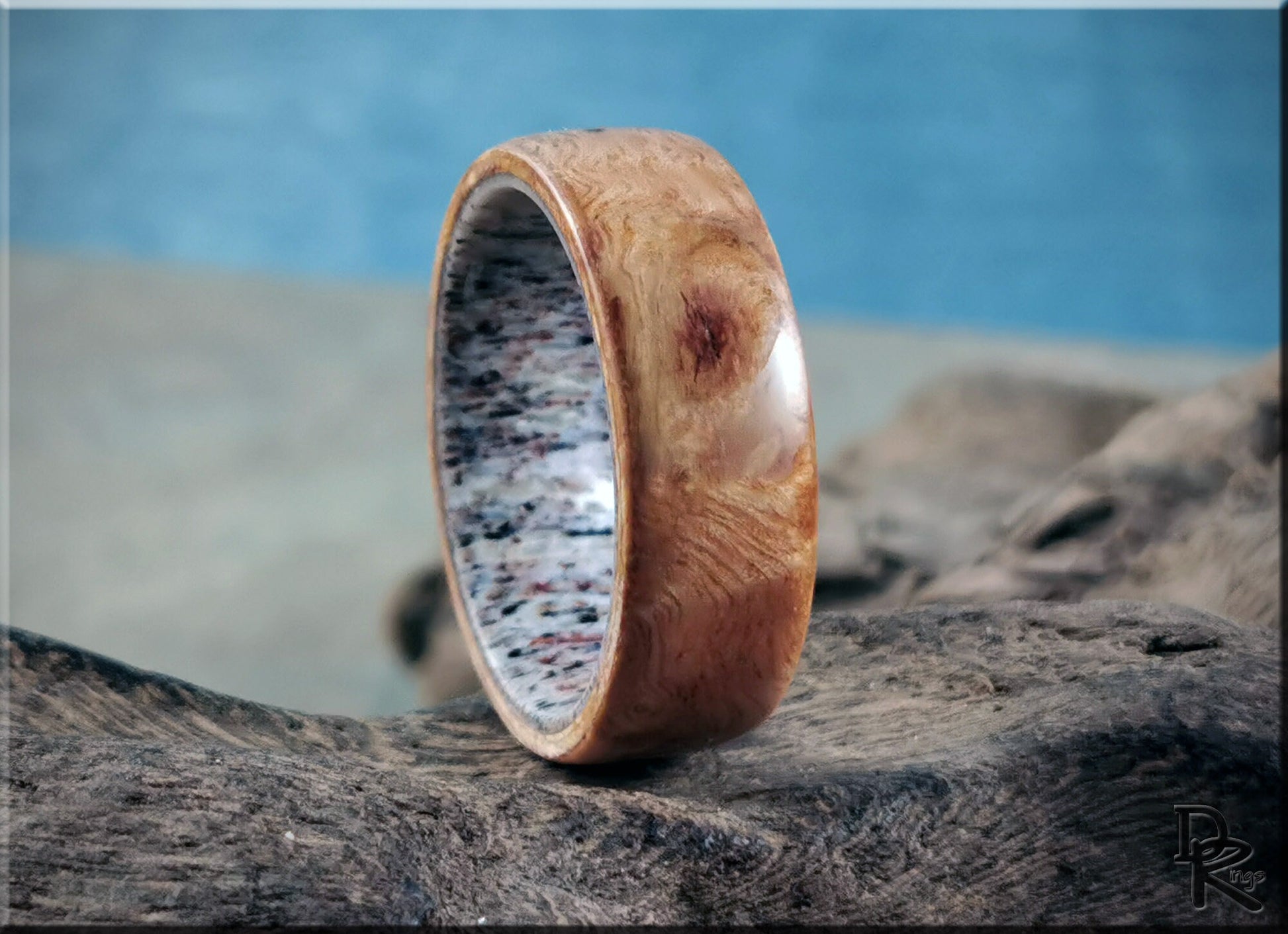 Bentwood Ring - English Chestnut Burl on deer antler ring core - wood ring