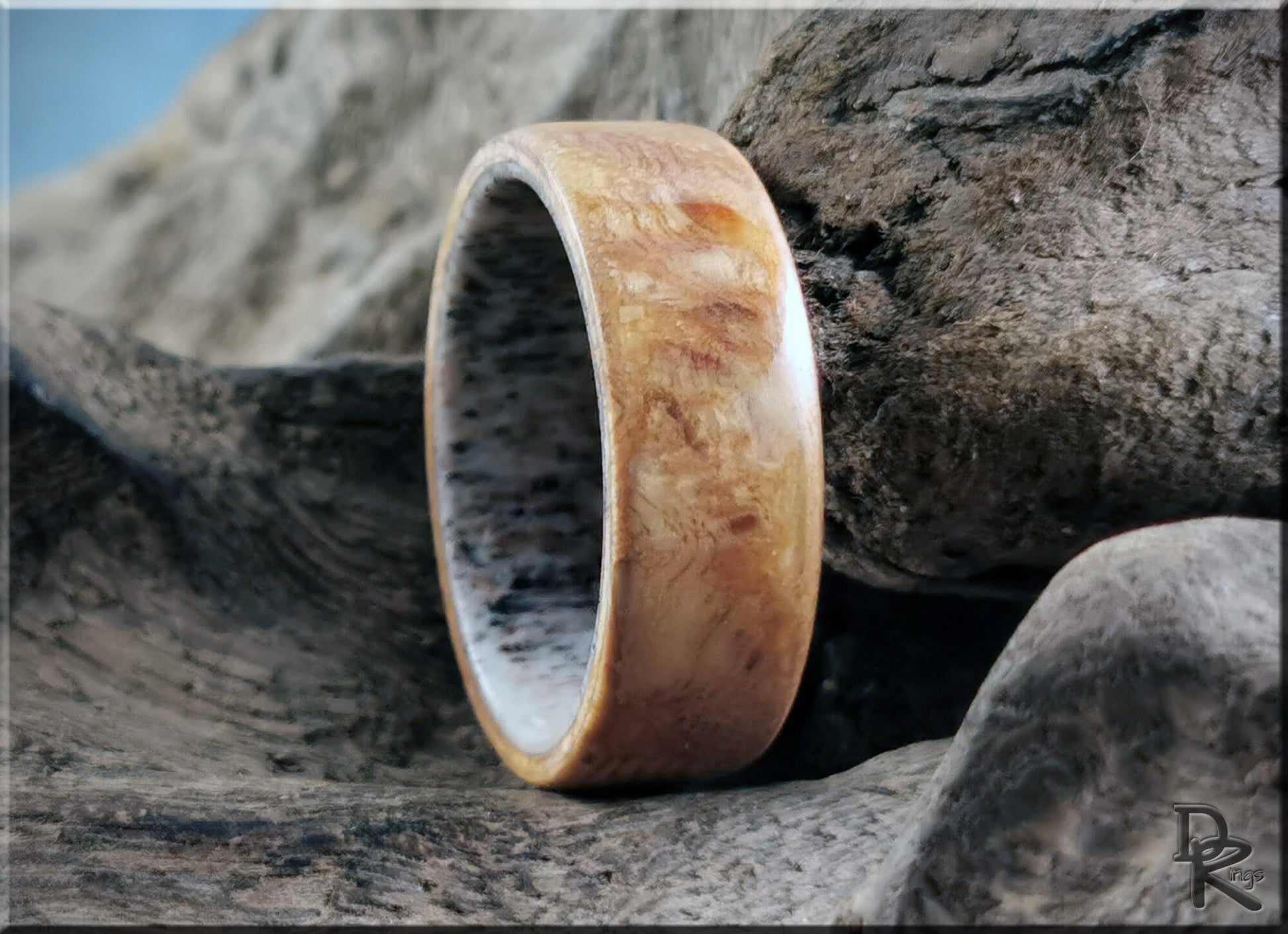 Bentwood Ring - English Chestnut Burl on deer antler ring core - wood ring