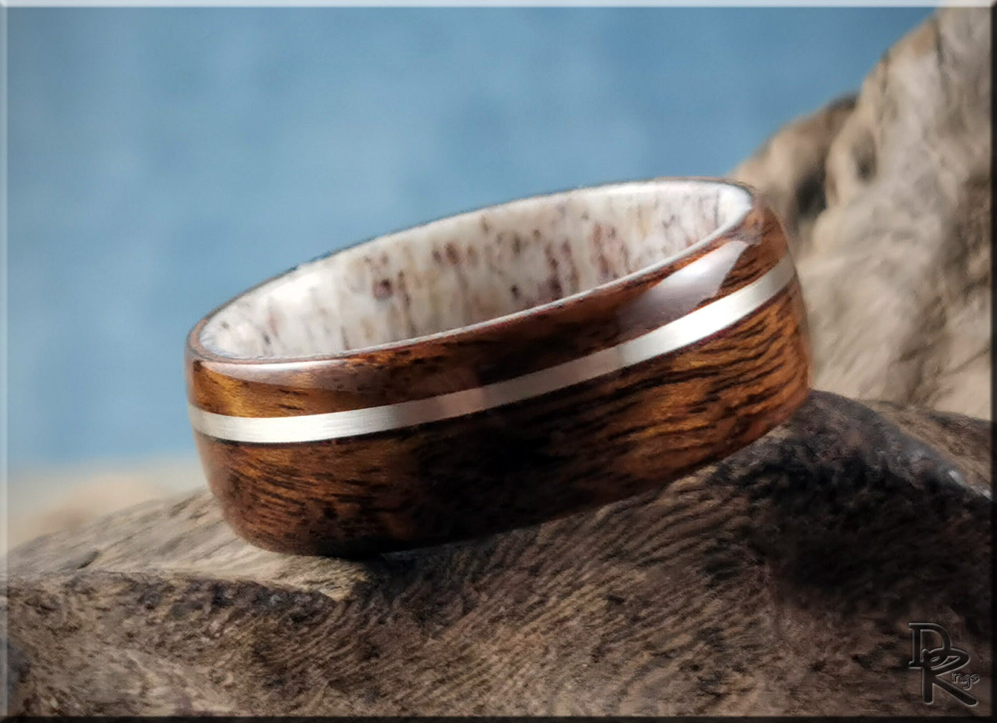 Bentwood Ring - Imbuya Pomelle w/offset Sterling Silver inlay on deer antler ring core - wood ring