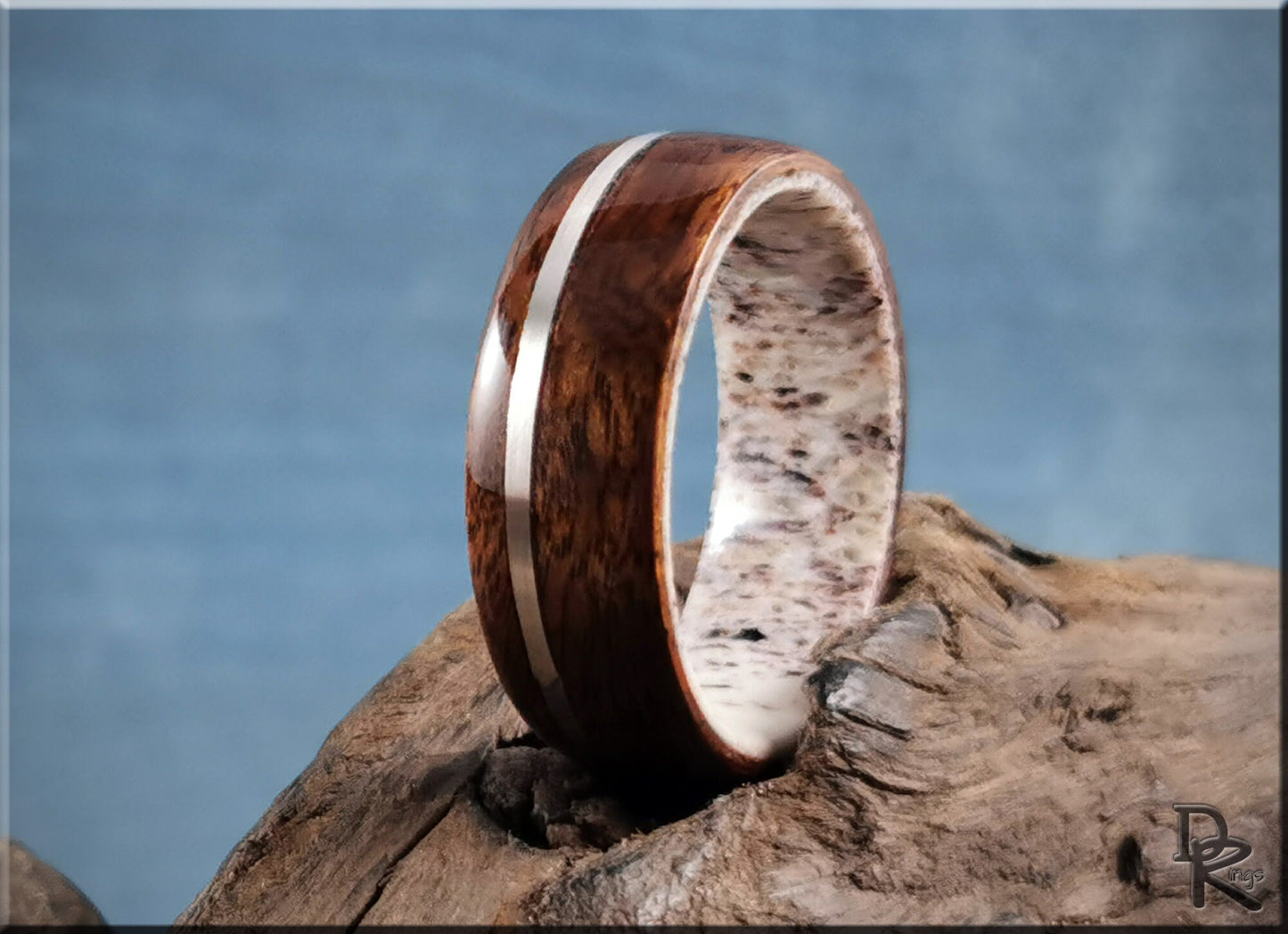 Bentwood Ring - Imbuya Pomelle w/offset Sterling Silver inlay on deer antler ring core - wood ring