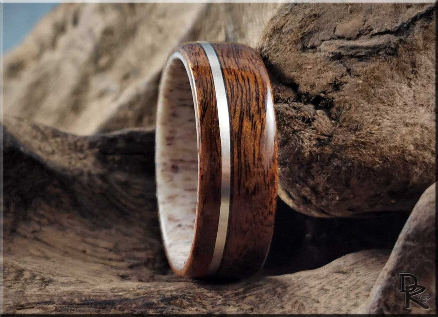 Bentwood Ring - Imbuya Pomelle w/offset Sterling Silver inlay on deer antler ring core - wood ring