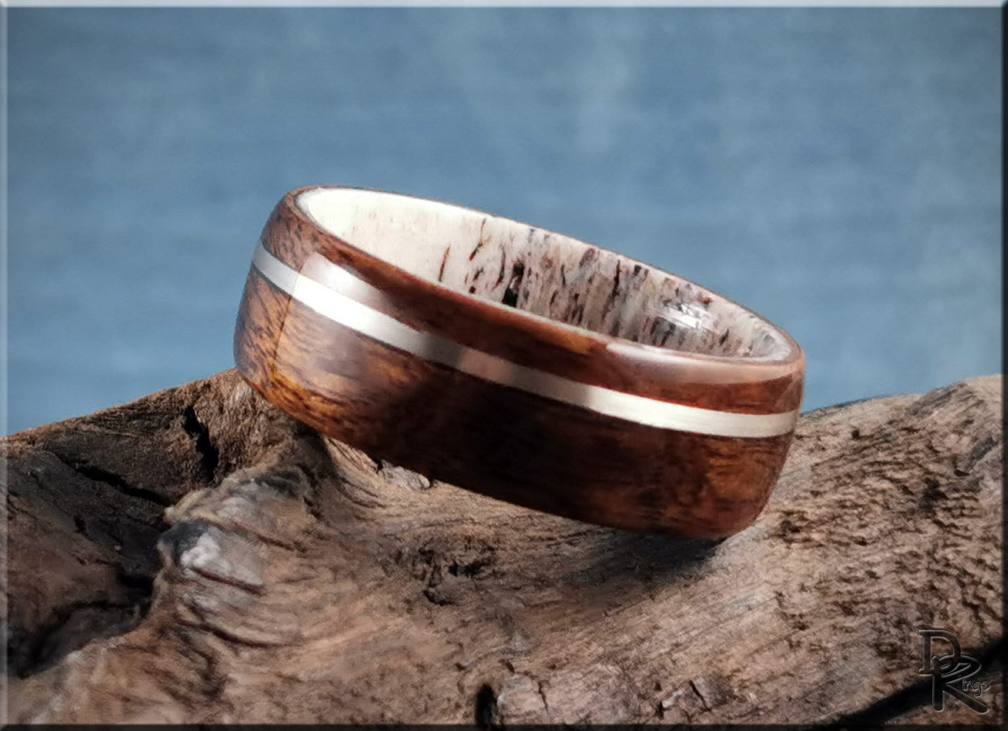 Bentwood Ring - Imbuya Pomelle w/offset Sterling Silver inlay on deer antler ring core - wood ring