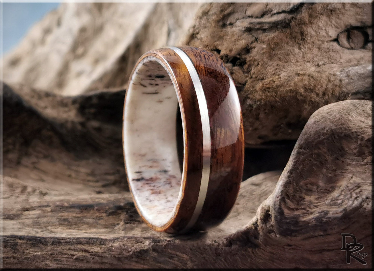 Bentwood Ring - Imbuya Pomelle w/offset Sterling Silver inlay on deer antler ring core - wood ring
