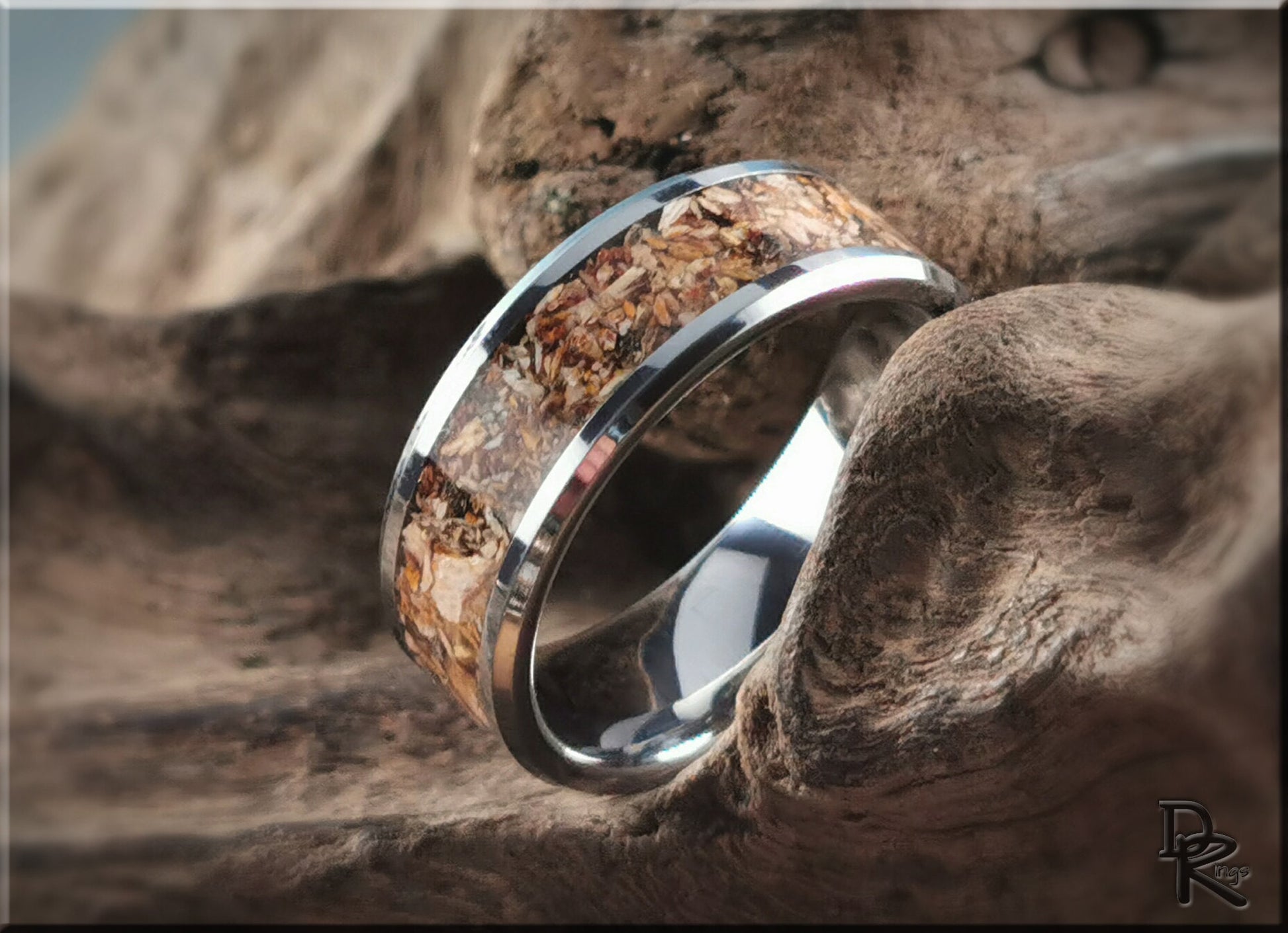 Tungsten Carbide Channel Ring w/Fossilised Megalodon Shark Tooth inlay - metal ring