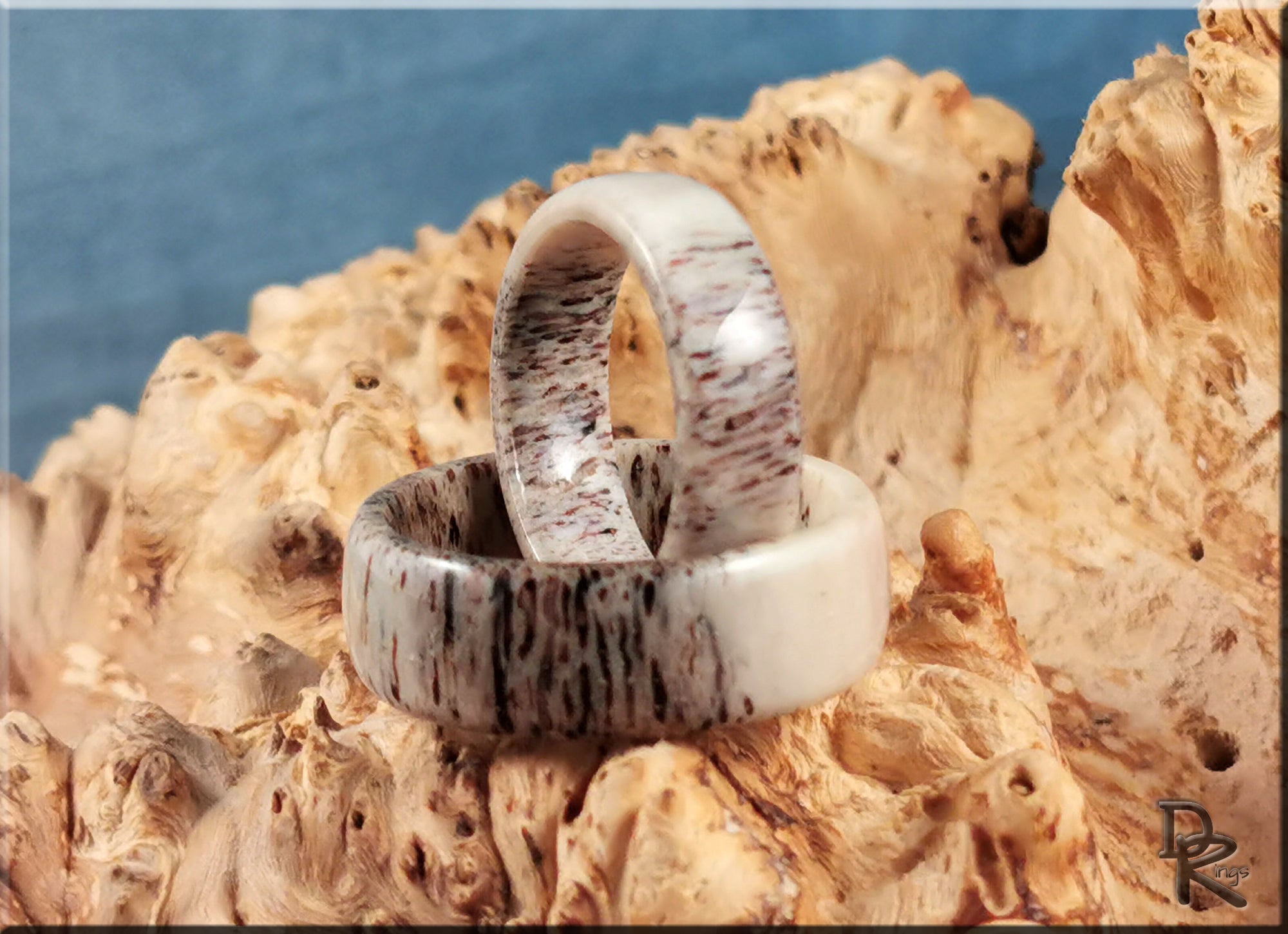 DR Rings deer antler ring set with natural wood grain texture on rustic wood background