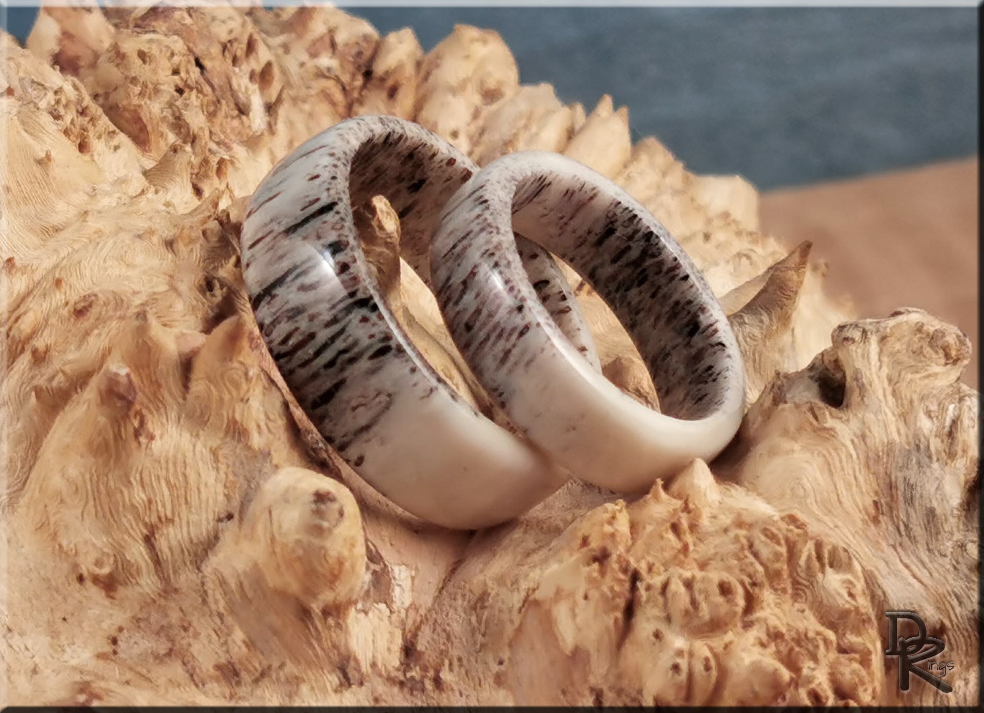 DR Rings deer antler ring set with natural textured finish displayed on wood surface