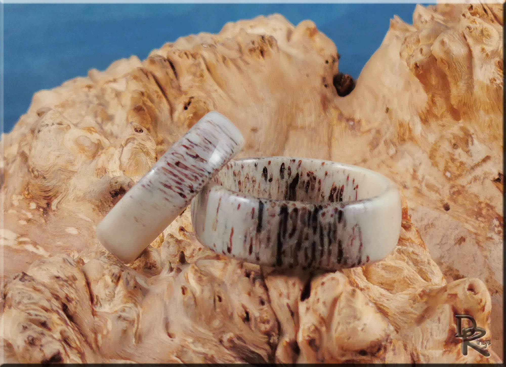 DR Rings deer antler ring set with natural wood-like texture displayed on rustic wooden surface