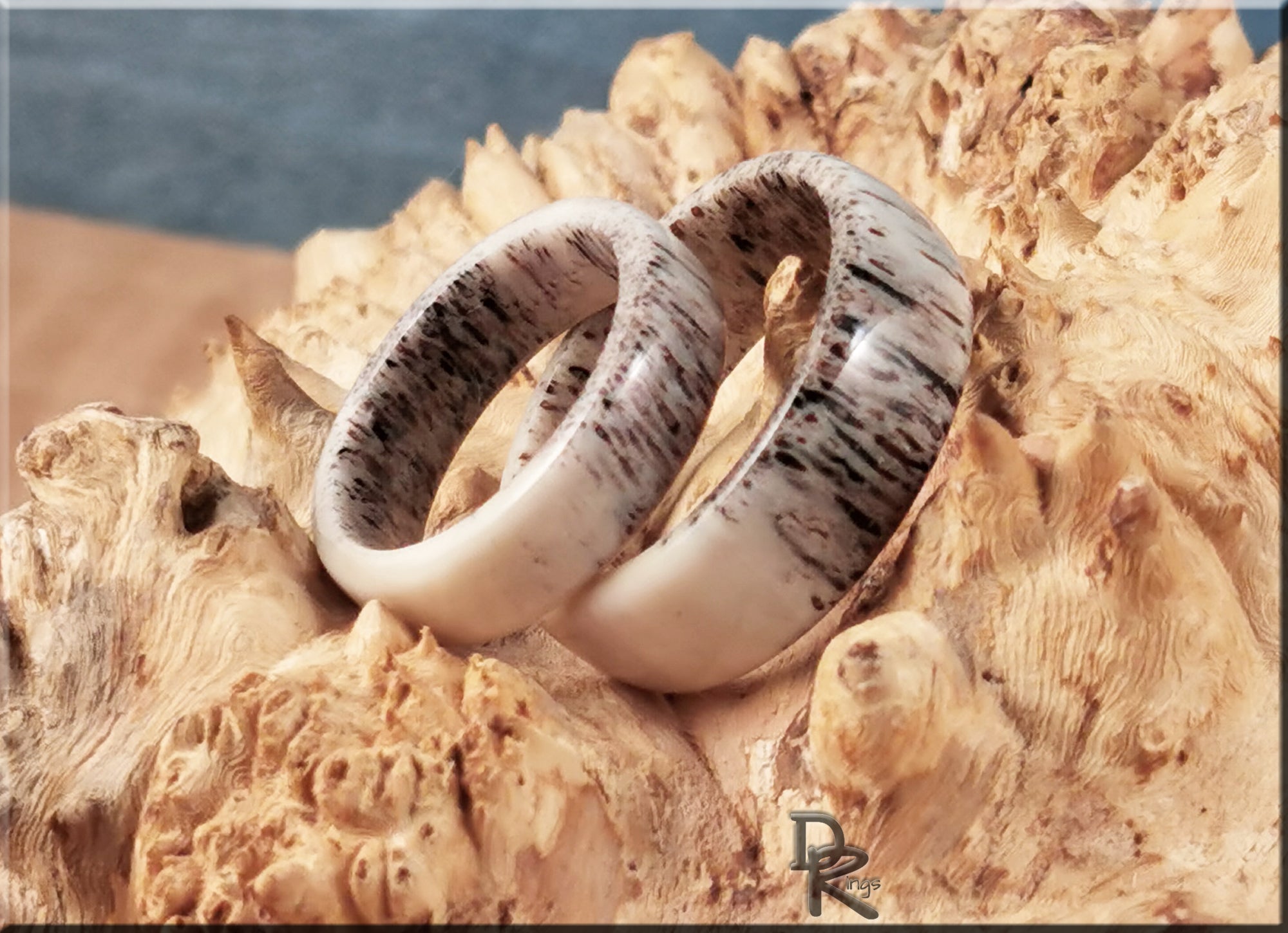 DR Rings deer antler ring set with natural textured finish displayed on rustic wood background