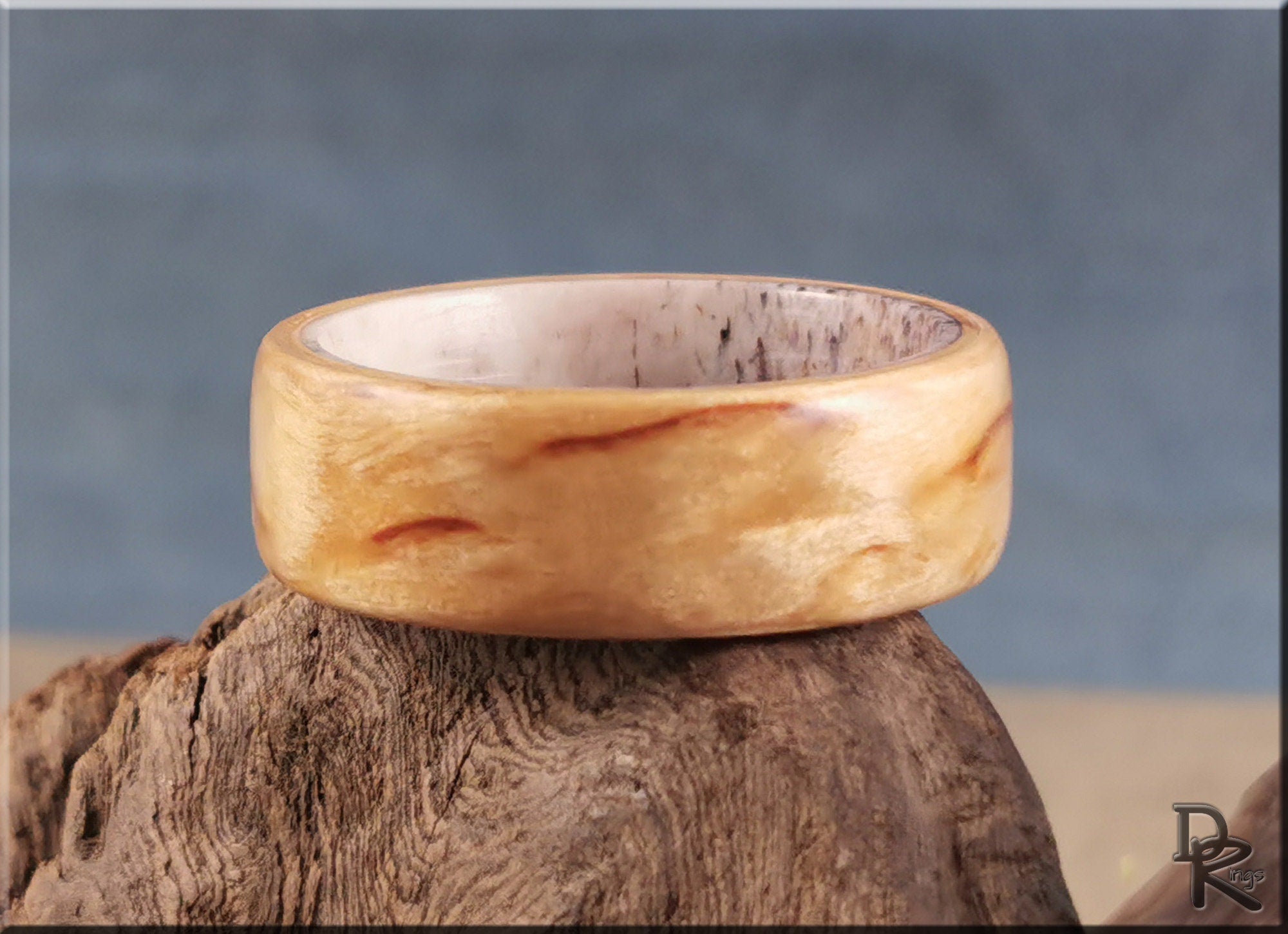 Bentwood Ring - Karelian Birch on deer antler ring core - wood ring