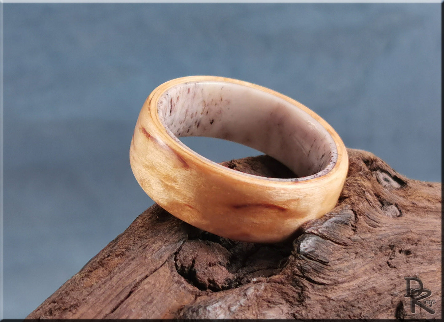 Bentwood Ring - Karelian Birch on deer antler ring core - wood ring