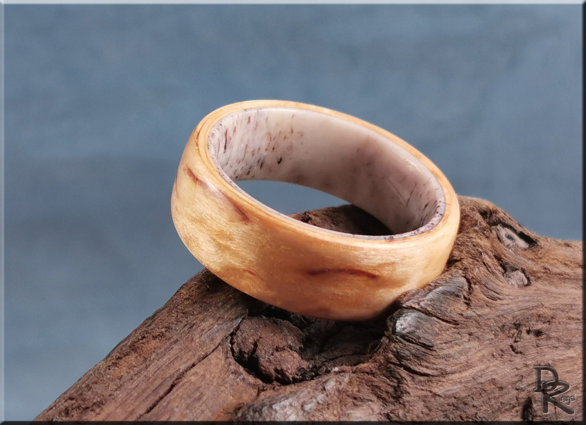 Bentwood Ring - Karelian Birch on deer antler ring core - wood ring