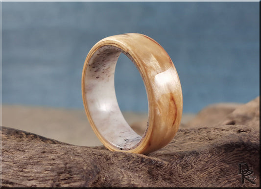 Bentwood Ring - Karelian Birch on deer antler ring core - wood ring