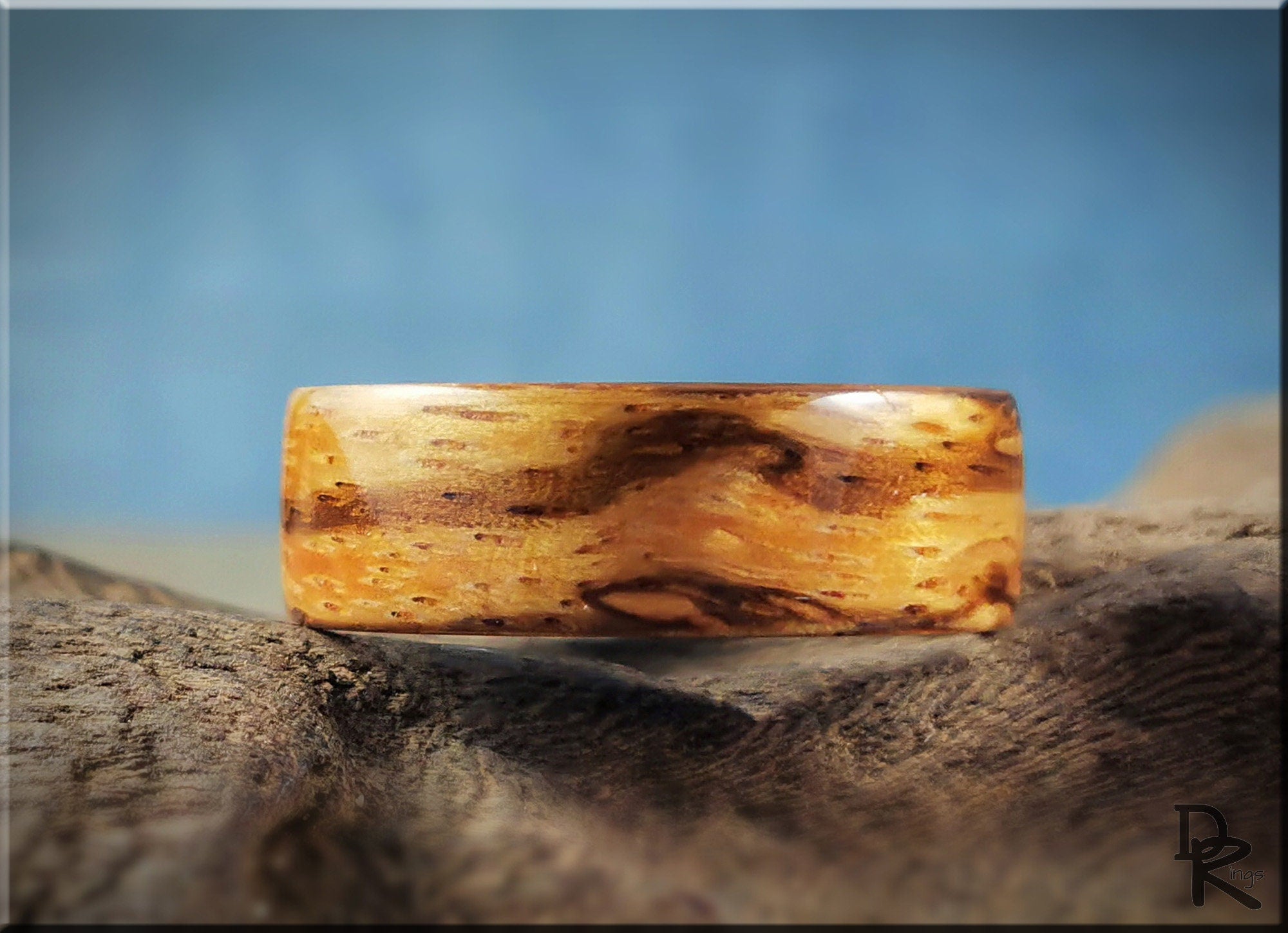DR Rings wood ring on ceramic core with natural wood grain pattern displayed on rustic surface