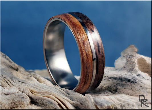 Dual Bentwood Ring - Curly Black Walnut and Figured Etimoe, on 7mm titanium T-Core - wood ring