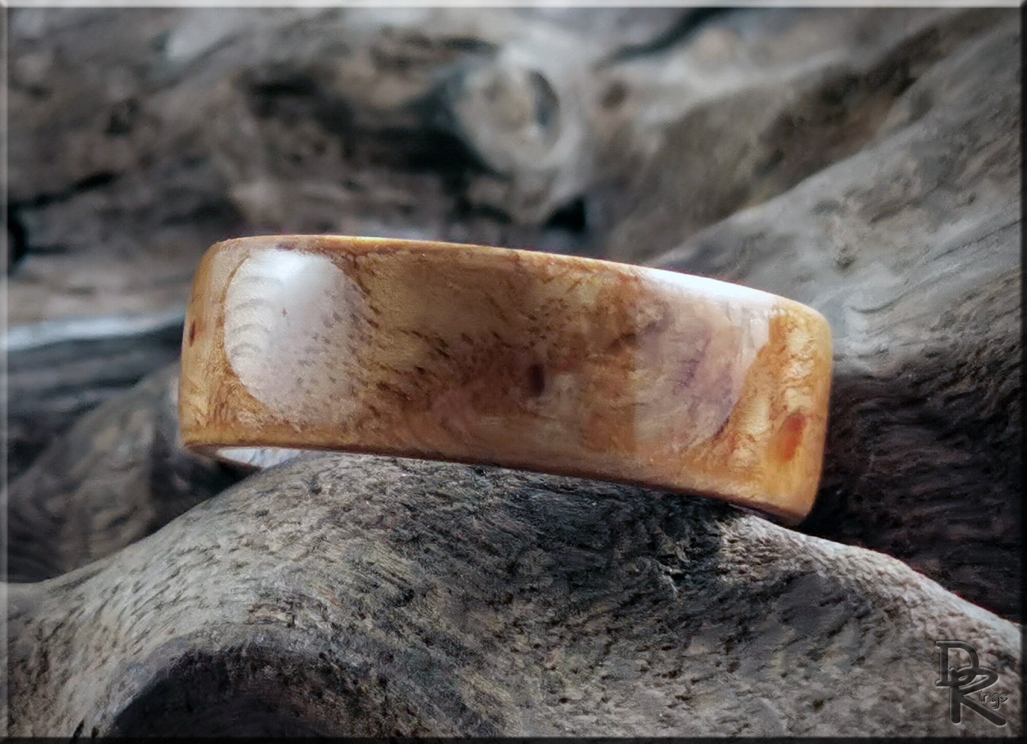 Bentwood Ring - English Chestnut Burl on deer antler ring core - wood ring