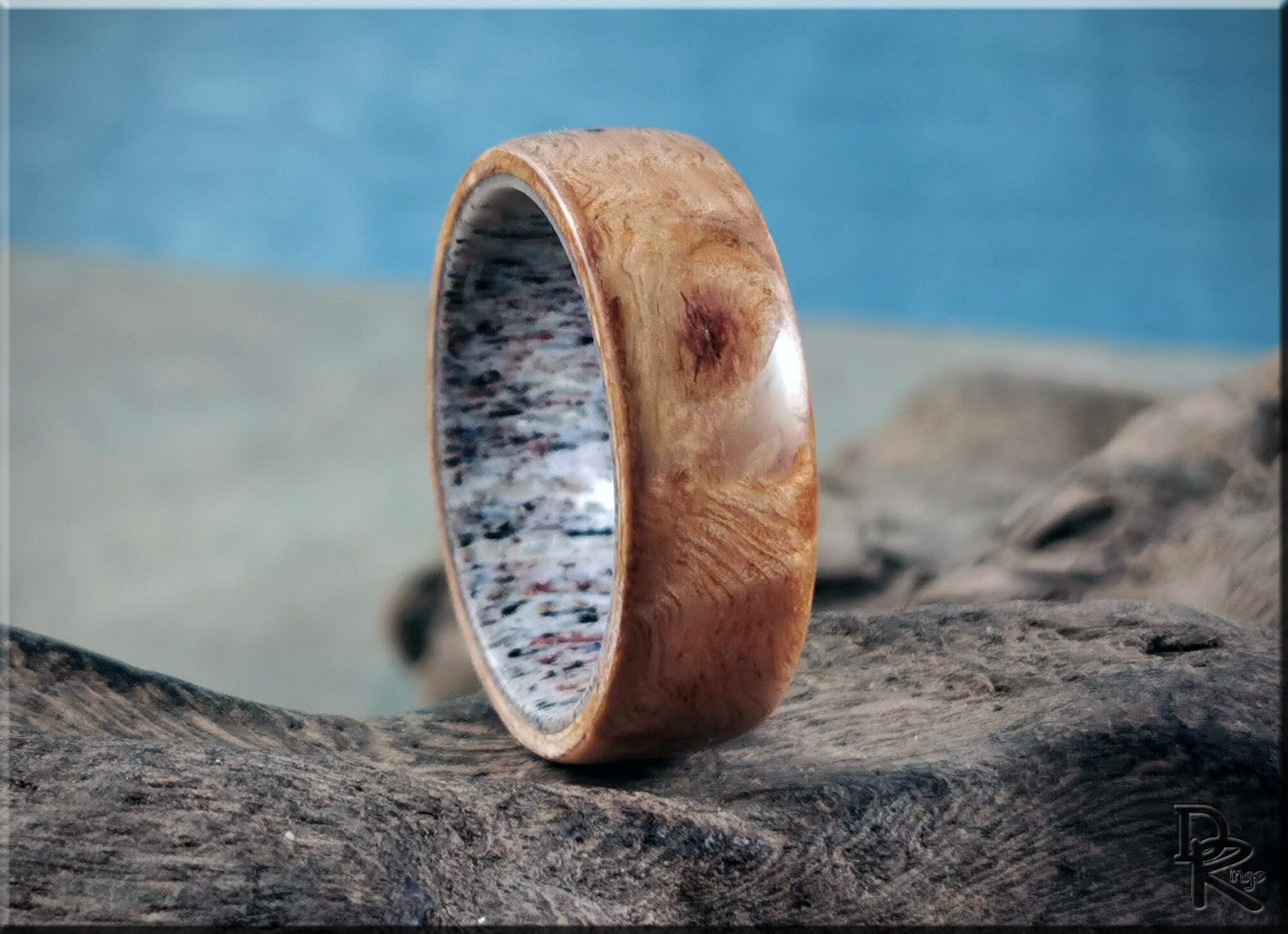 Bentwood Ring - English Chestnut Burl on deer antler ring core - wood ring