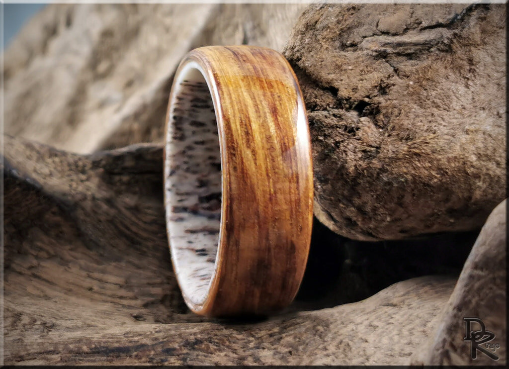 Oak wood ring on antler with smooth polished finish showcasing natural wood grain patterns