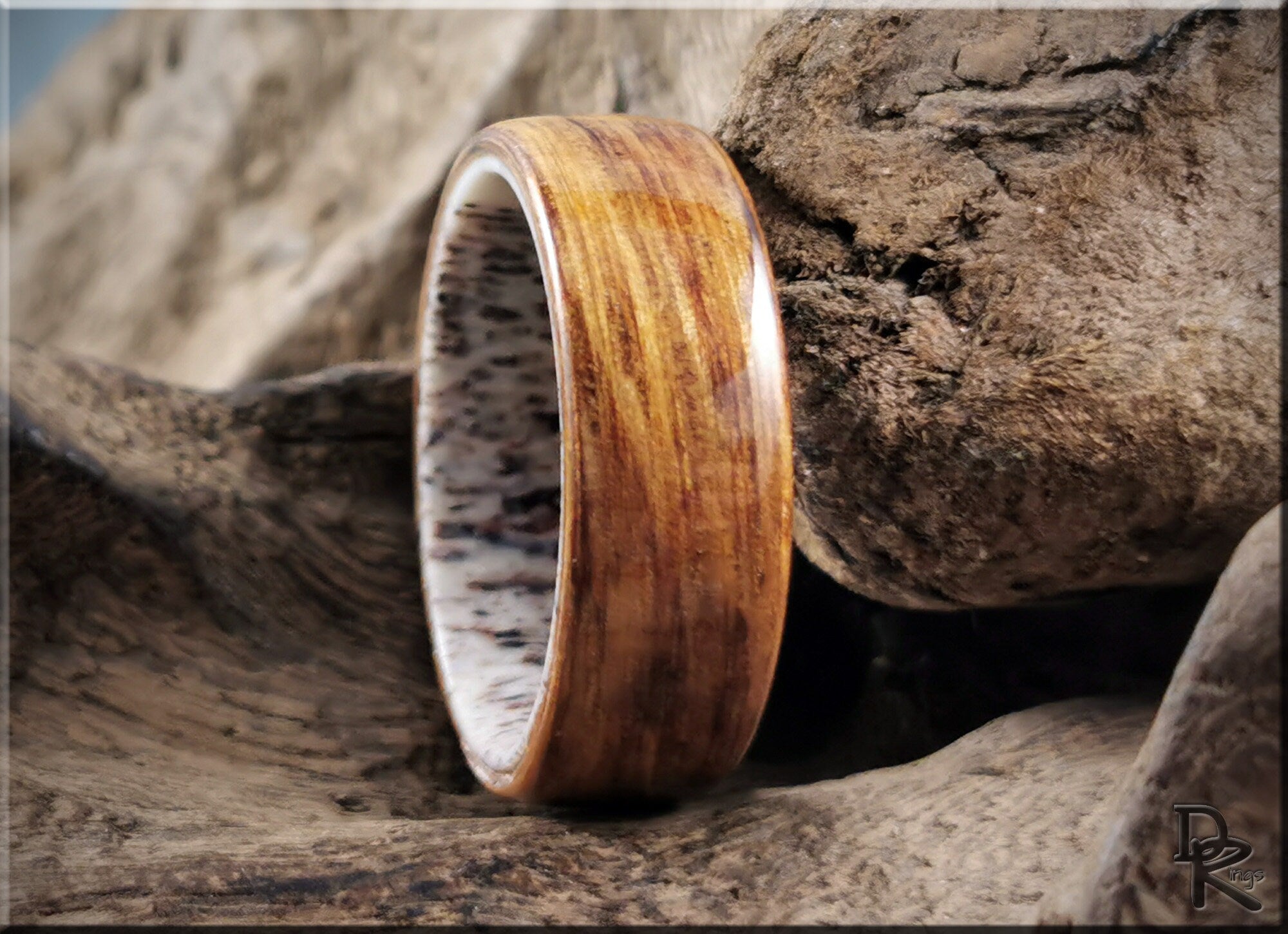 Oak wood ring on antler with smooth polished finish showcasing natural wood grain patterns