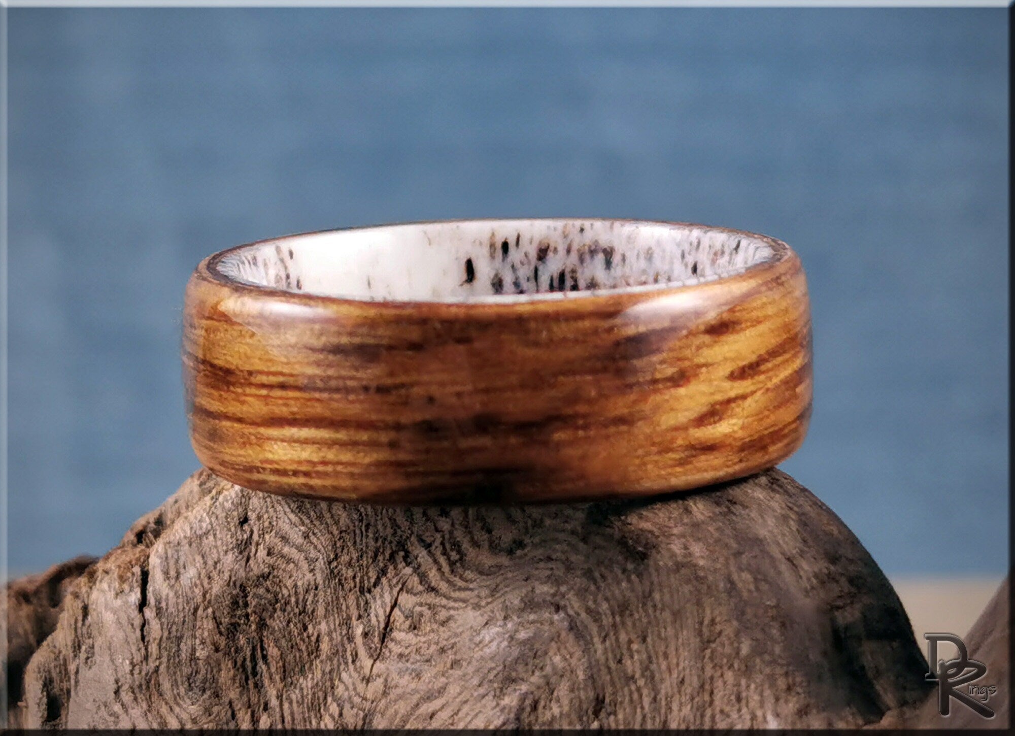 Oak wood ring on antler displayed on textured wooden surface with blue background by DR Rings