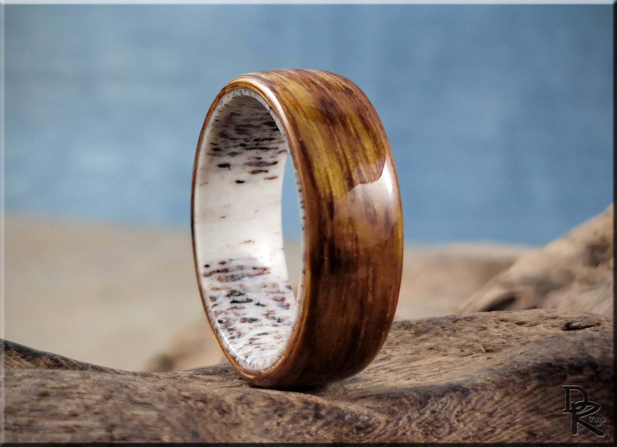 Oak wood ring on antler with polished finish by DR Rings displayed on natural antler surface