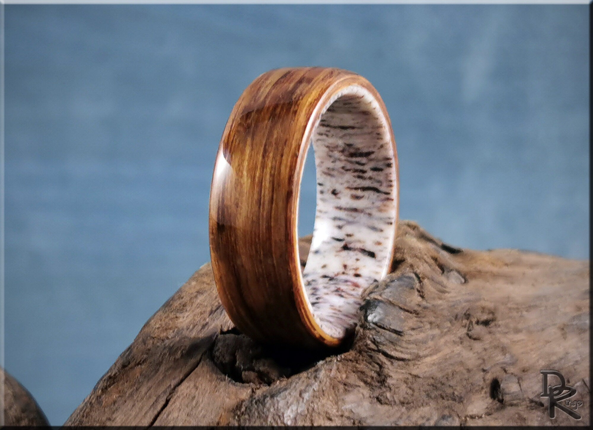 Oak wood ring on antler with polished finish displayed on rustic wooden surface