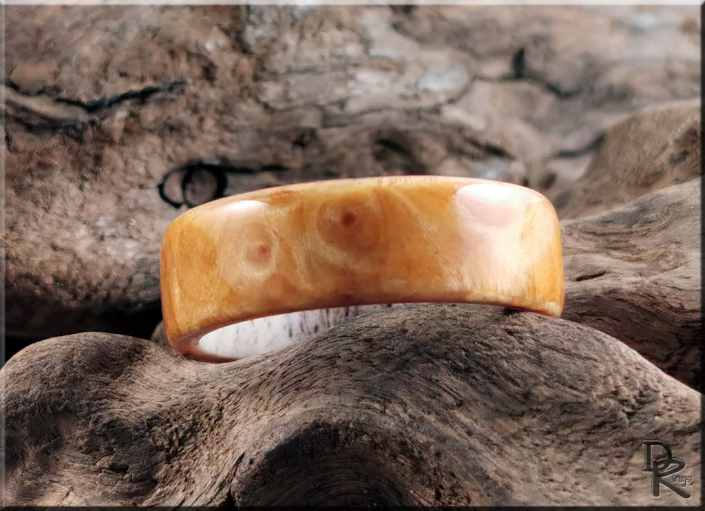 Wood ring on antler core crafted by DR Rings with smooth polished finish on natural wood