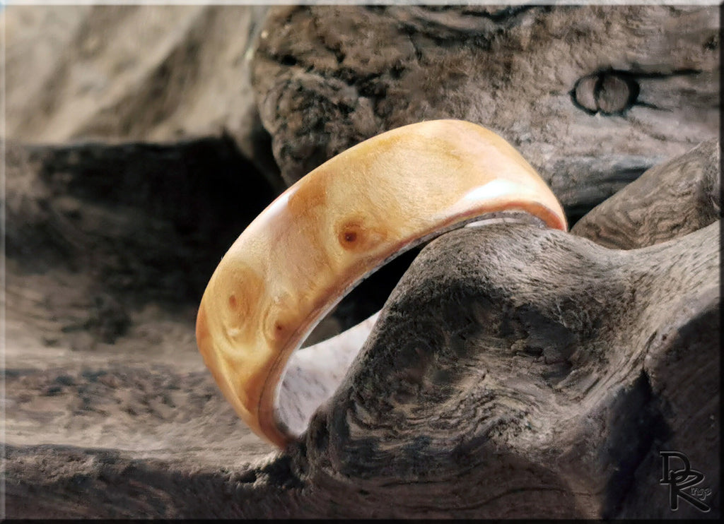 Wood ring on antler core by DR Rings with smooth natural wood finish and unique grain pattern