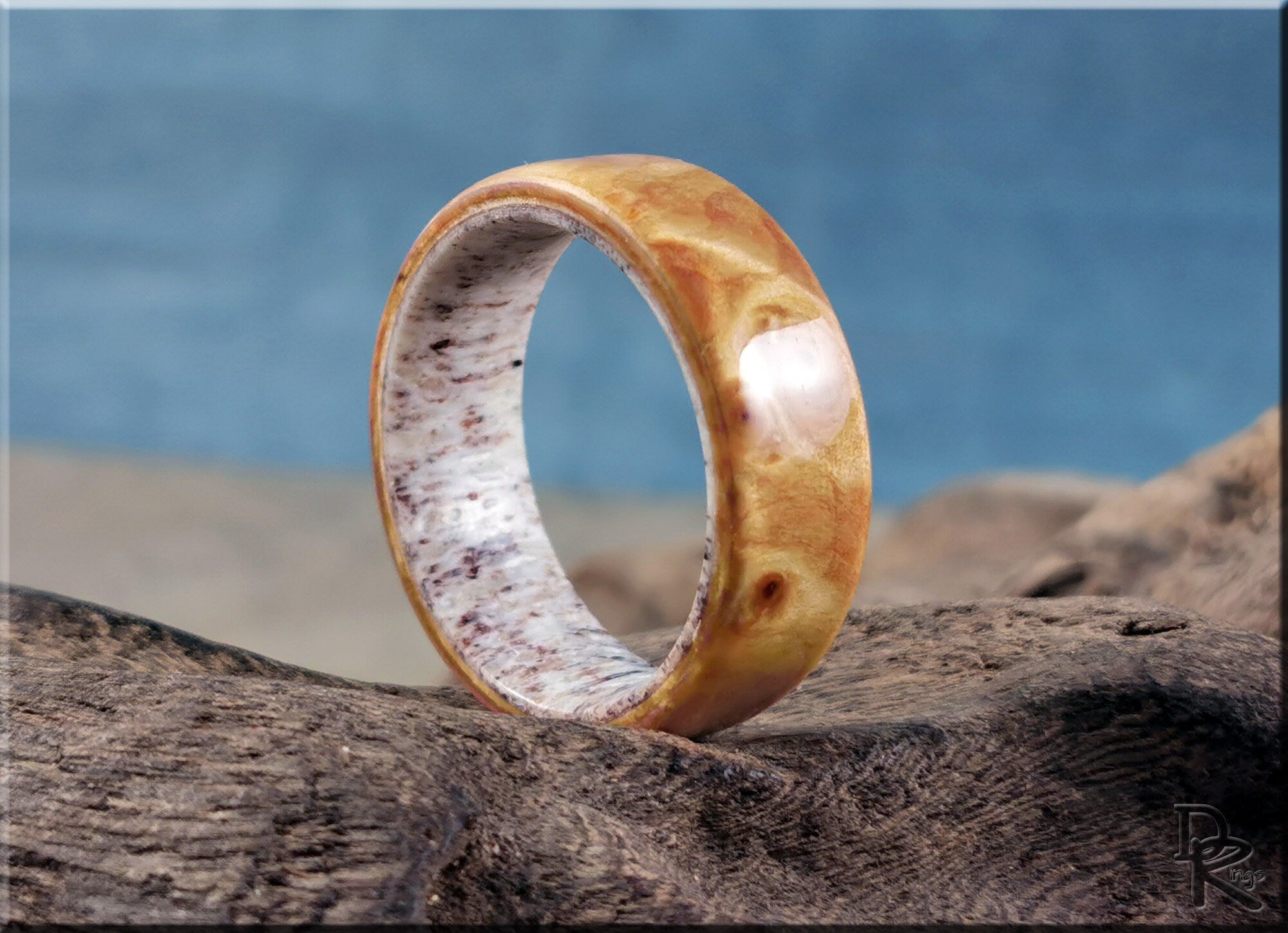 Wood ring on antler core by DR Rings with polished wooden exterior and natural antler interior