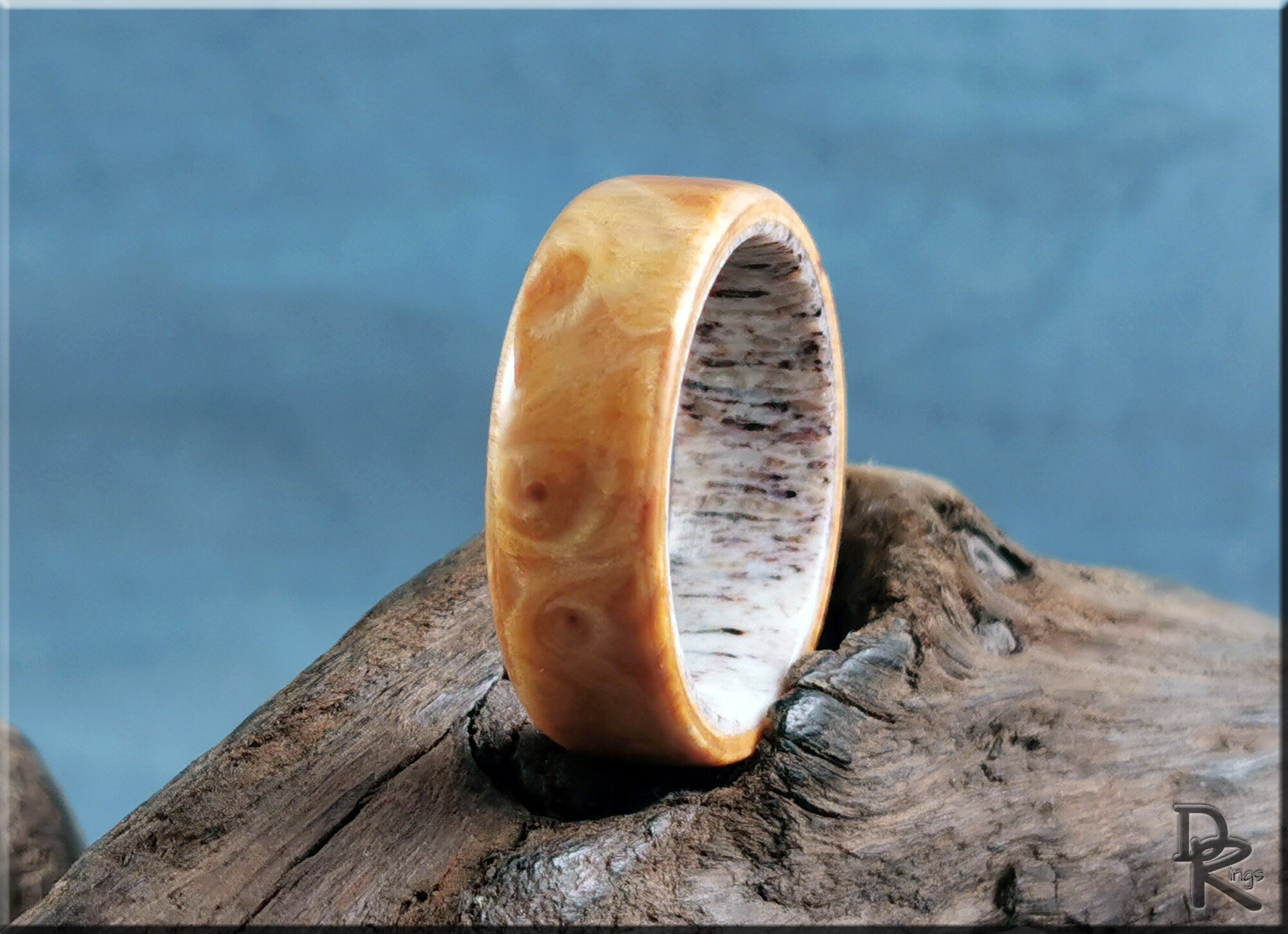 Wood ring on antler core with polished wood exterior and textured antler interior by DR Rings