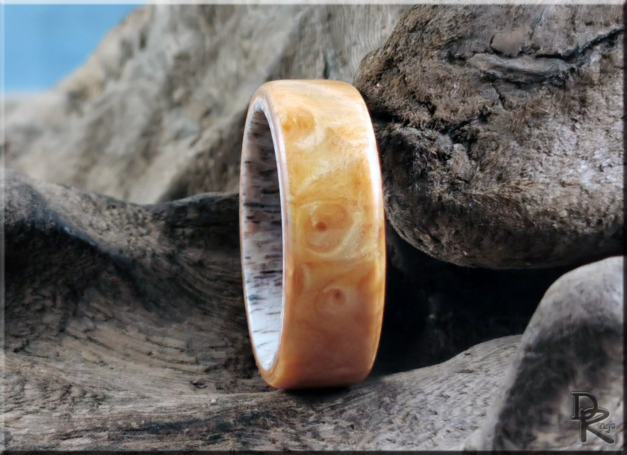 Wood ring on antler core with smooth polished finish resting on natural antler background